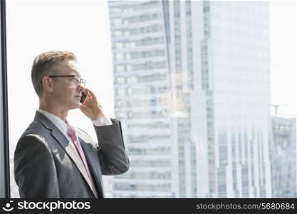 Mature businessman talking on cell phone by window