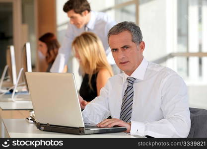 Mature businessman working on laptop computer