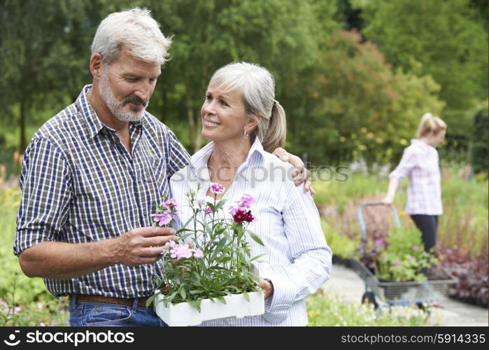 Mature Couple Choosing Plants At Garden Center