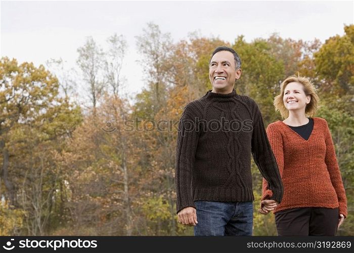 Mature couple holding each other&acute;s hands and smiling