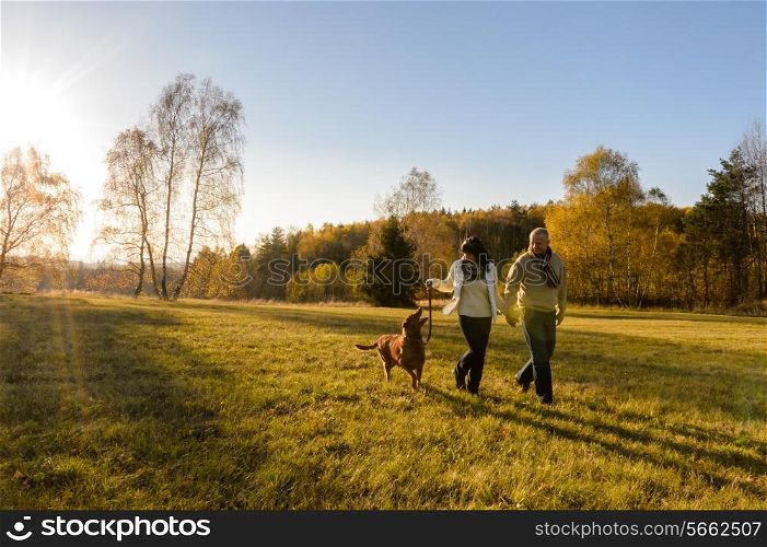 Mature couple holding hands walk retriever dog autumn sunset countryside meadow