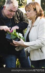 Mature couple looking at flowers in a box