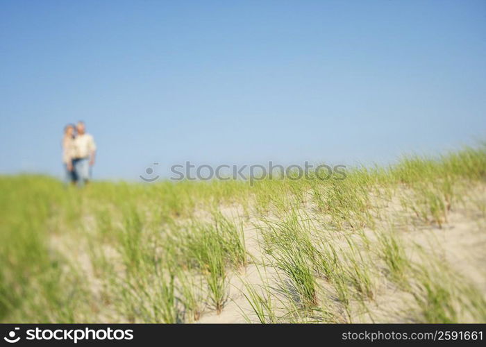 Mature couple standing on the beach