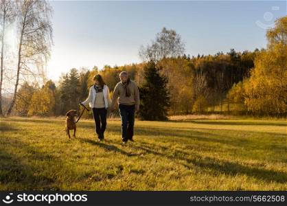 Mature couple walking retriever dog autumn sunset landscape holding hands