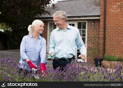 Mature Couple Working In Garden Together