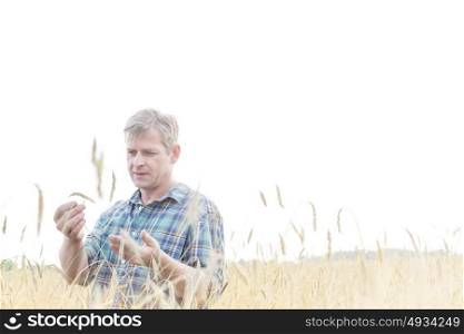 Mature farmer examining crop on field against sky at farm