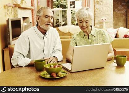 Mature man and a senior woman sitting in front of a laptop