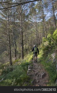 Mature Man trekking in the mountain