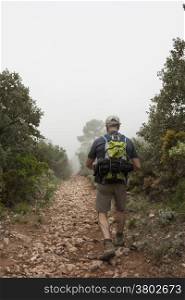 Mature Man trekking in the mountain