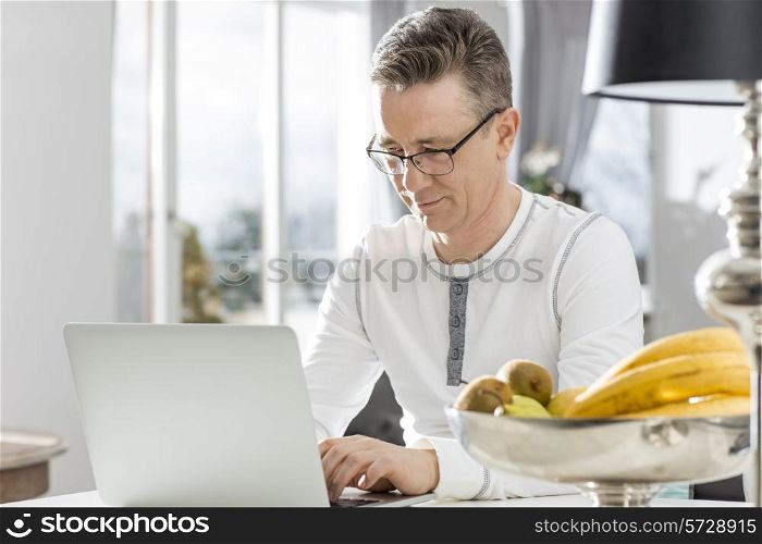Mature man using laptop at table in house