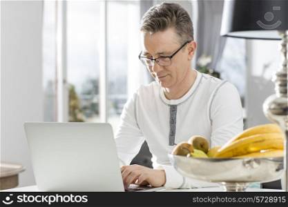Mature man using laptop at table in house
