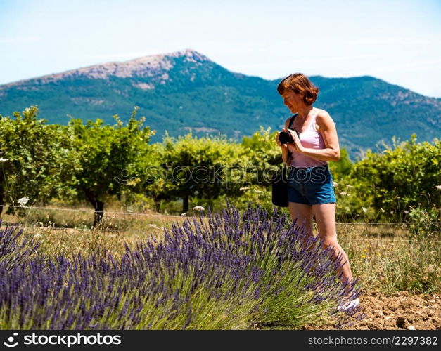 Mature tourist woman with camera taking travel photo from Provence landscape with purple lavender fields, France. Woman take photo on lavender field, Provence France