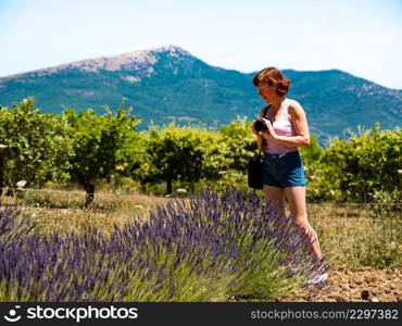 Mature tourist woman with camera taking travel photo from Provence landscape with purple lavender fields, France. Woman take photo on lavender field, Provence France