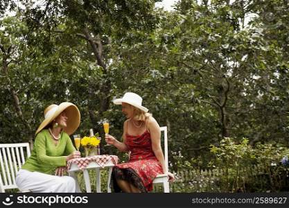 Mature woman and a senior woman sitting in a garden holding glasses of juice
