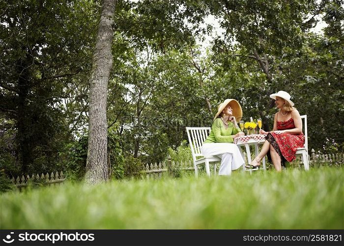 Mature woman and a senior woman sitting together holding glasses of juice