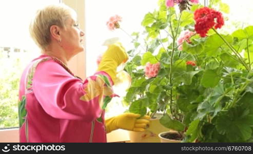 Mature woman caring for flowers in pots