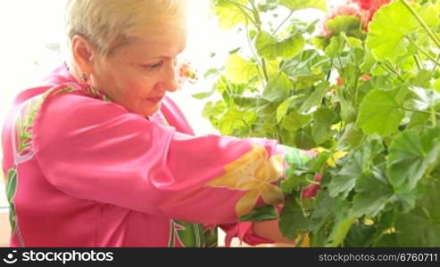 Mature woman caring for flowers in pots