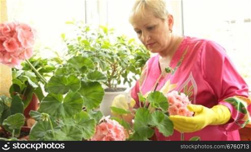 Mature woman caring for flowers in pots