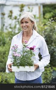Mature Woman Choosing Plants At Garden Center