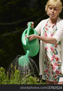 Mature woman gardening and use a watering pot, sunny summer day - focused to water drops