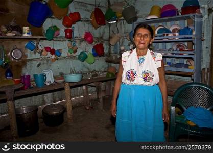 Mature woman standing in a kitchen, Papantla, Veracruz, Mexico
