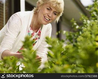 Mature woman taking care of her garden in backyard - sunny summer day