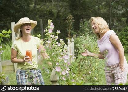Mature woman welcoming to a mid adult woman