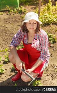 Mature woman with gardening tool working in her backyard garden outdoor