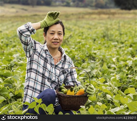 Mature women taking break from harvesting Green beans in Field