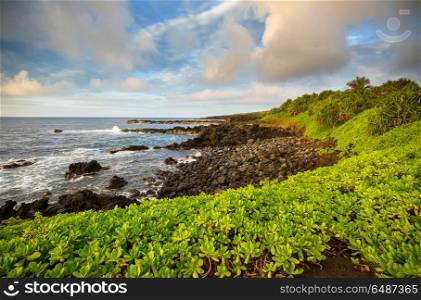 Maui. Beautiful tropical beach on Maui island, Hawaii