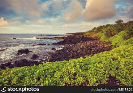 Maui. Beautiful tropical landscapes on Maui island, Hawaii