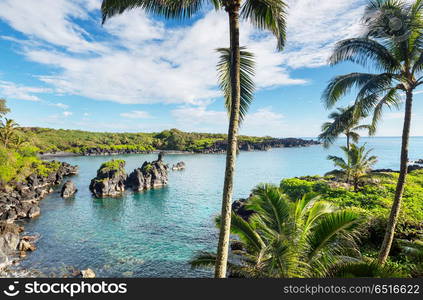 Maui. Beautiful tropical landscapes on Maui island, Hawaii