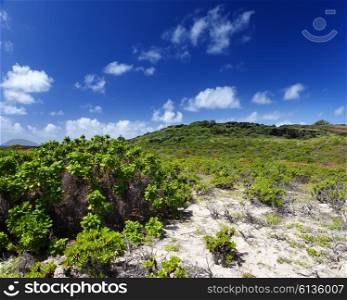 Mauritius, landscape of the island