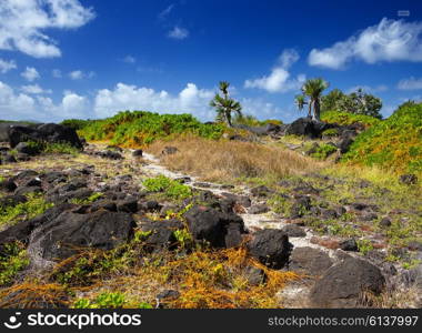 Mauritius, landscape of the island