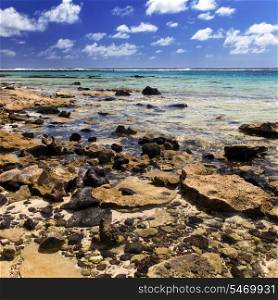 Mauritius. Stony landscape. island Gabriel.