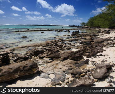 Mauritius. Stony landscape of the island