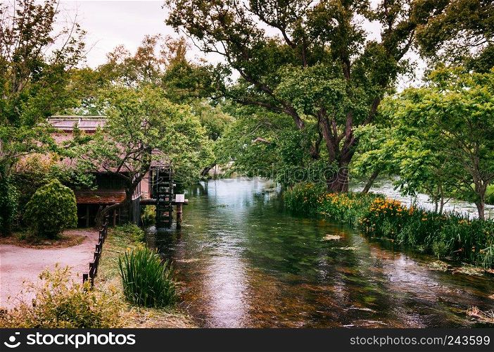 MAY 28, 2013 Nagano, JAPAN - Clear natural stream with thatched cottage and vintage old water turbine, beautiful flower garden of  Daio Wasabi Farm