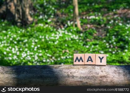 May spring sign in a green garden in a tree