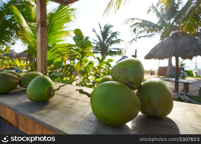 Mayan Riviera coconuts for drink in Caribbean Mexico