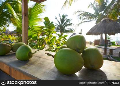 Mayan Riviera coconuts for drink in Caribbean Mexico