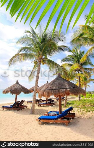 Mayan Riviera tropical beach palm trees sunroof turquoise Caribbean sea