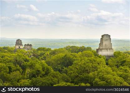 Mayan ruins rise above the jungle in the famous Tikal National Park, Guatemala
