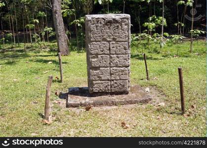 Mayan stela and forest in Copan, Honduras