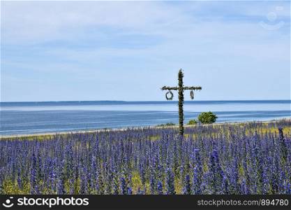 Maypole in a blossom blueweed field by the coast of the Baltic Sea