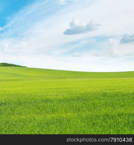 meadow and blue sky