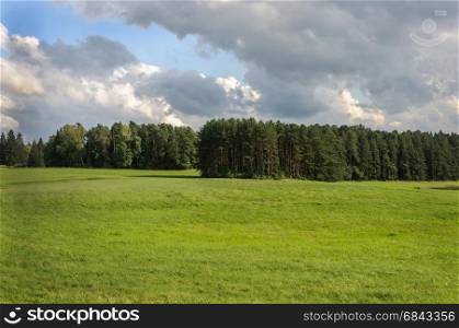 Meadow and forest near the village of Mikhailovskoye, Pushkinsky Reserve, Pskov region, Russia. Sunny summer day.