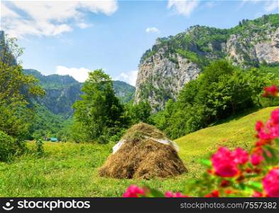 Meadow and haystack among the mountains of Montenegro. Meadow and haystack
