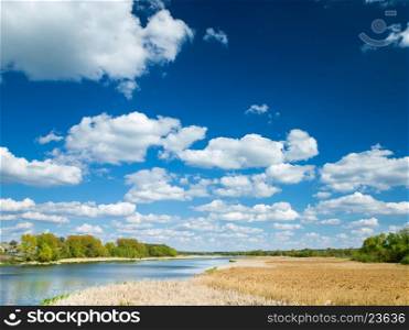 meadow and pond with blue cloudy sky