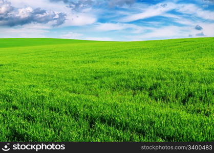 meadow and the beautiful blue sky