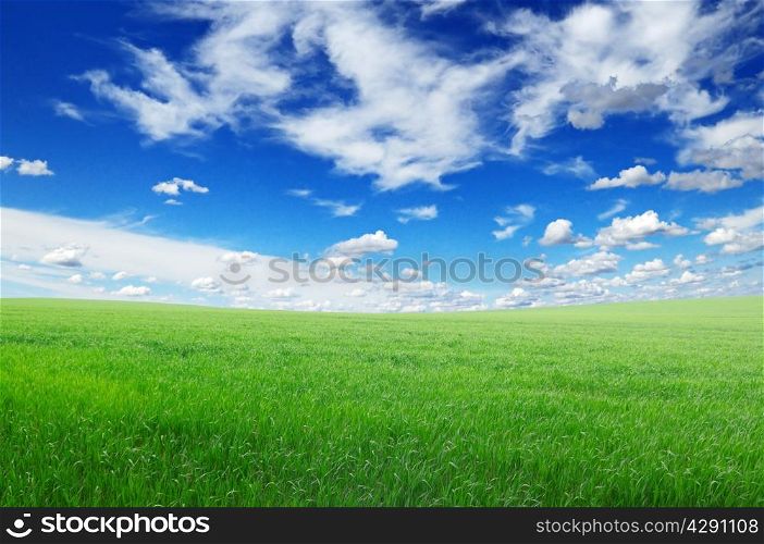meadow and the beautiful blue sky